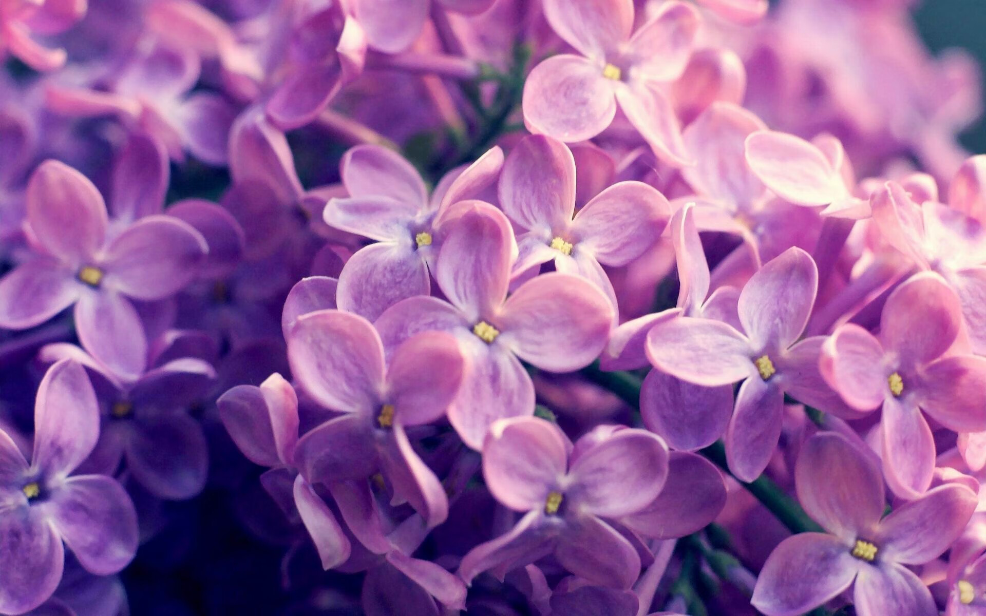 青少年“篮球+动漫”跨界合作展在成都引人关注，青少年篮球职业联赛