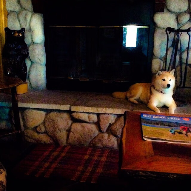 九游网页版入口-青训“科技创新+产业合作”双轮驱动，行业新模式不断涌现