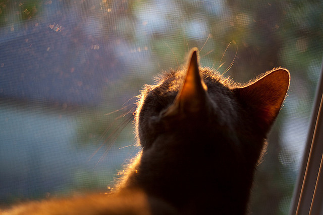 九游app下载中心-剑桥联主力配合默契，科学之城期待再攀高峰，剑桥科技是什么公司