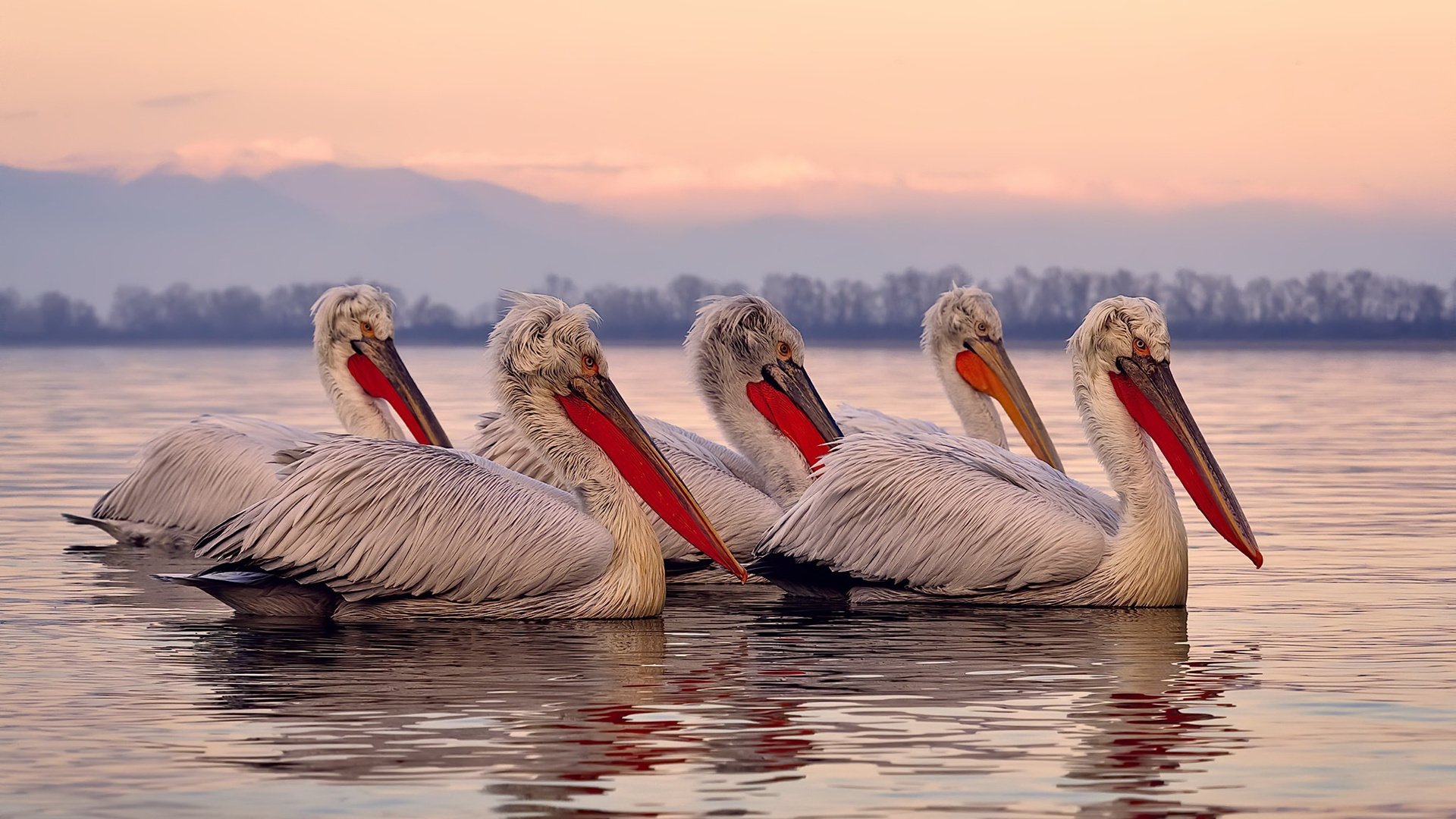 九游娱乐(jiuyou)官网-巴萨球员受伤下场，全队气氛紧张，巴萨球员受伤下场,全队气氛紧张吗