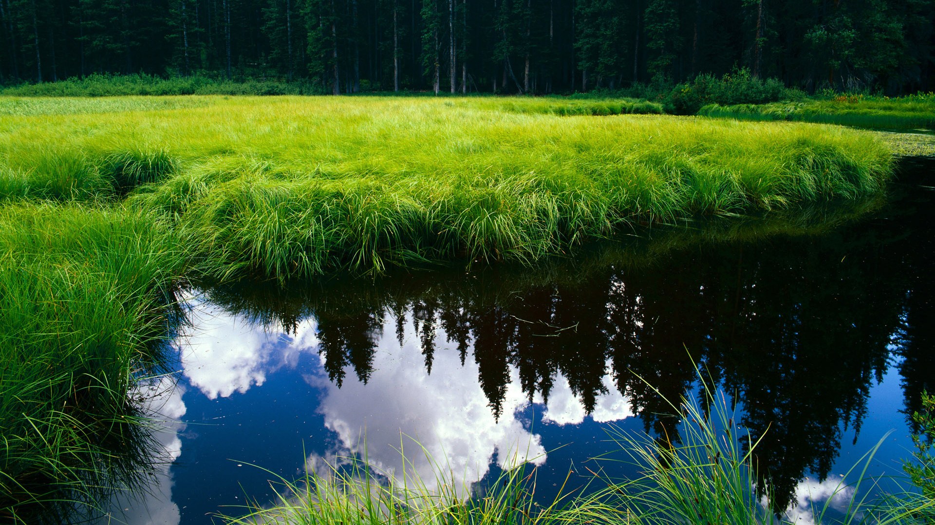 九游(jiuyou)官方网站-意大利职业足球队换帅，球迷反应褒贬不一，意大利足球队队员