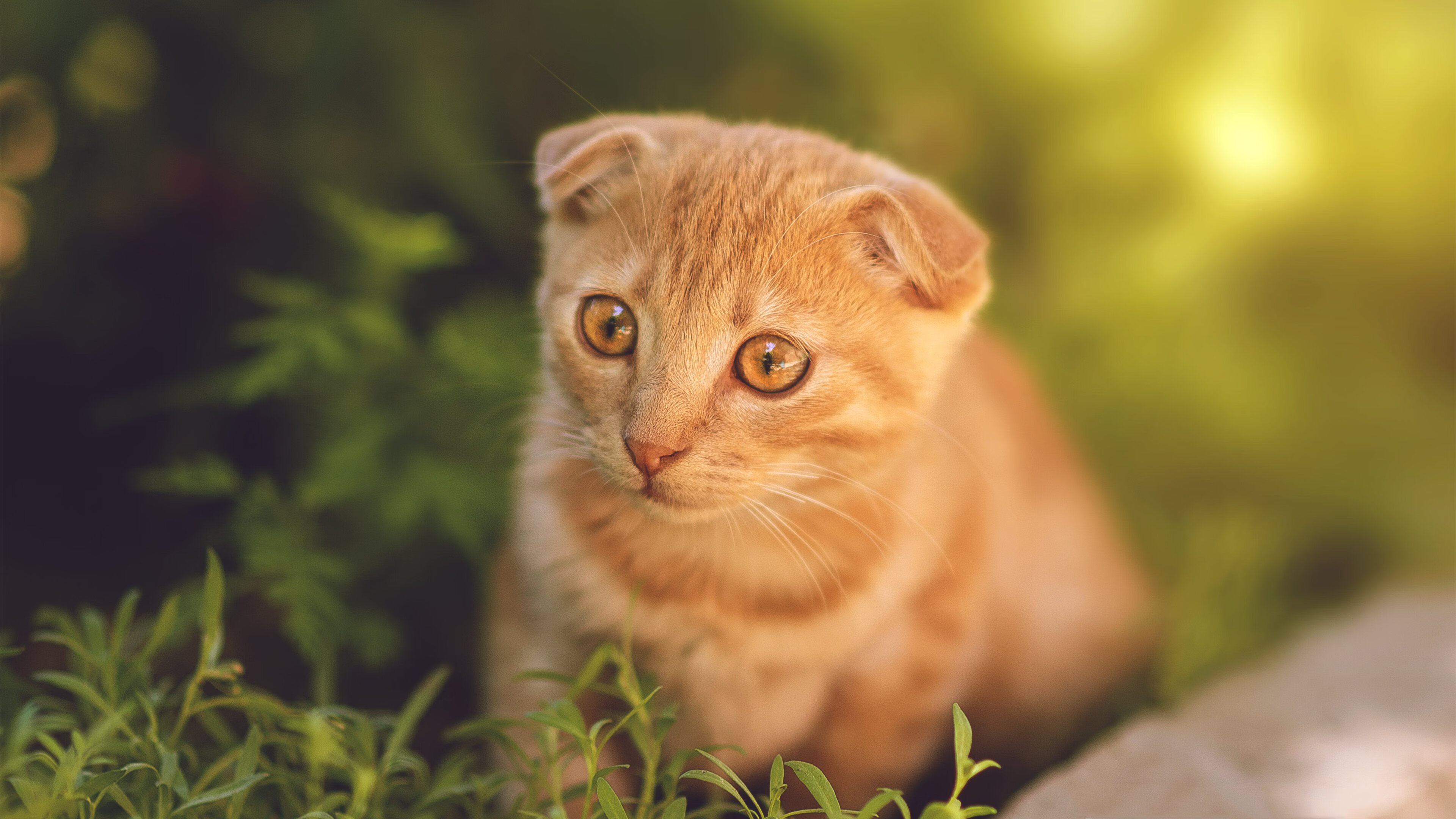 是否应推动球员参与青少年抗压教育,是否应推动球员参与青少年抗压教育