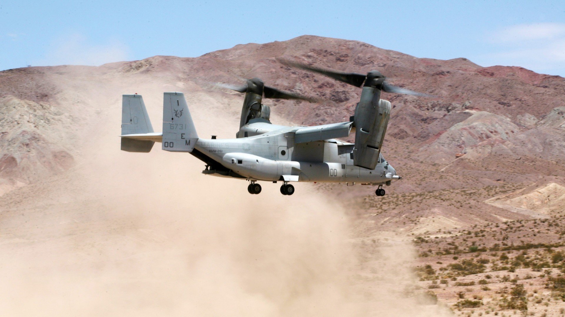 波斯尼亚队砥砺前行,迈向胜利之路,波斯尼亚国