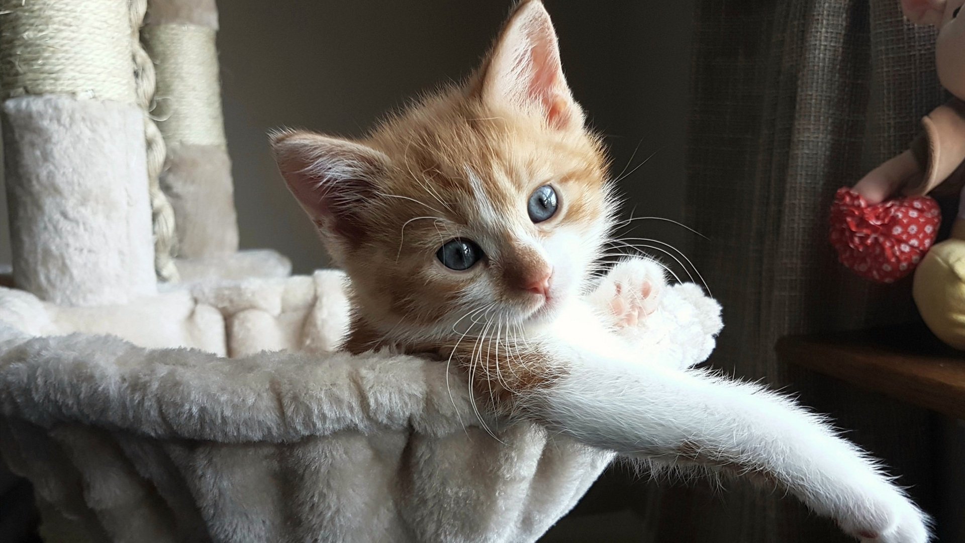 九游网页版官网-火箭终结湖人连胜，小波特与申京联手发威，火箭队小波特合同