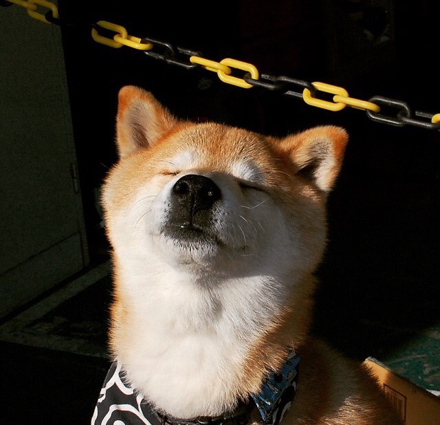 九游游戏中心-爱尔兰队在欧预赛中击败对手，晋级希望大增，爱尔兰超级联赛预测