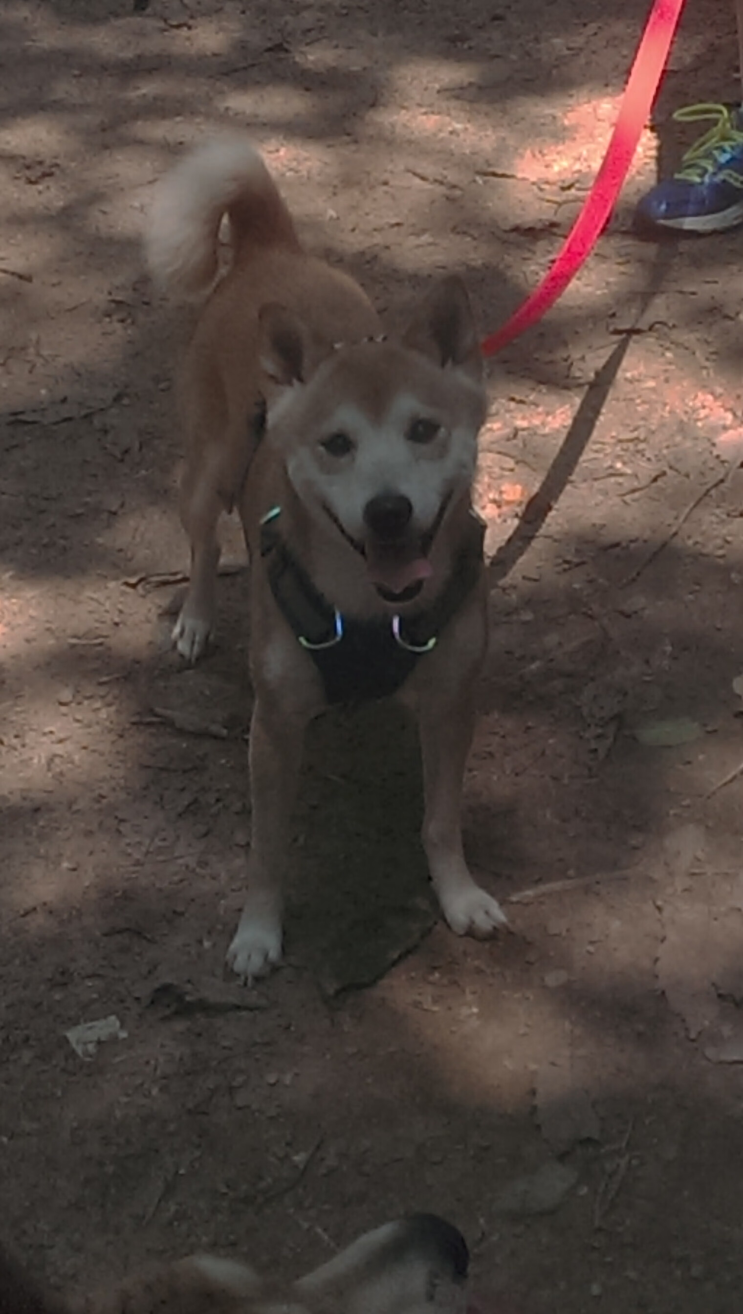 九游娱乐(jiuyou)官方网站-球员交易风声鹤唳，球队成绩不稳定，球员交易市场