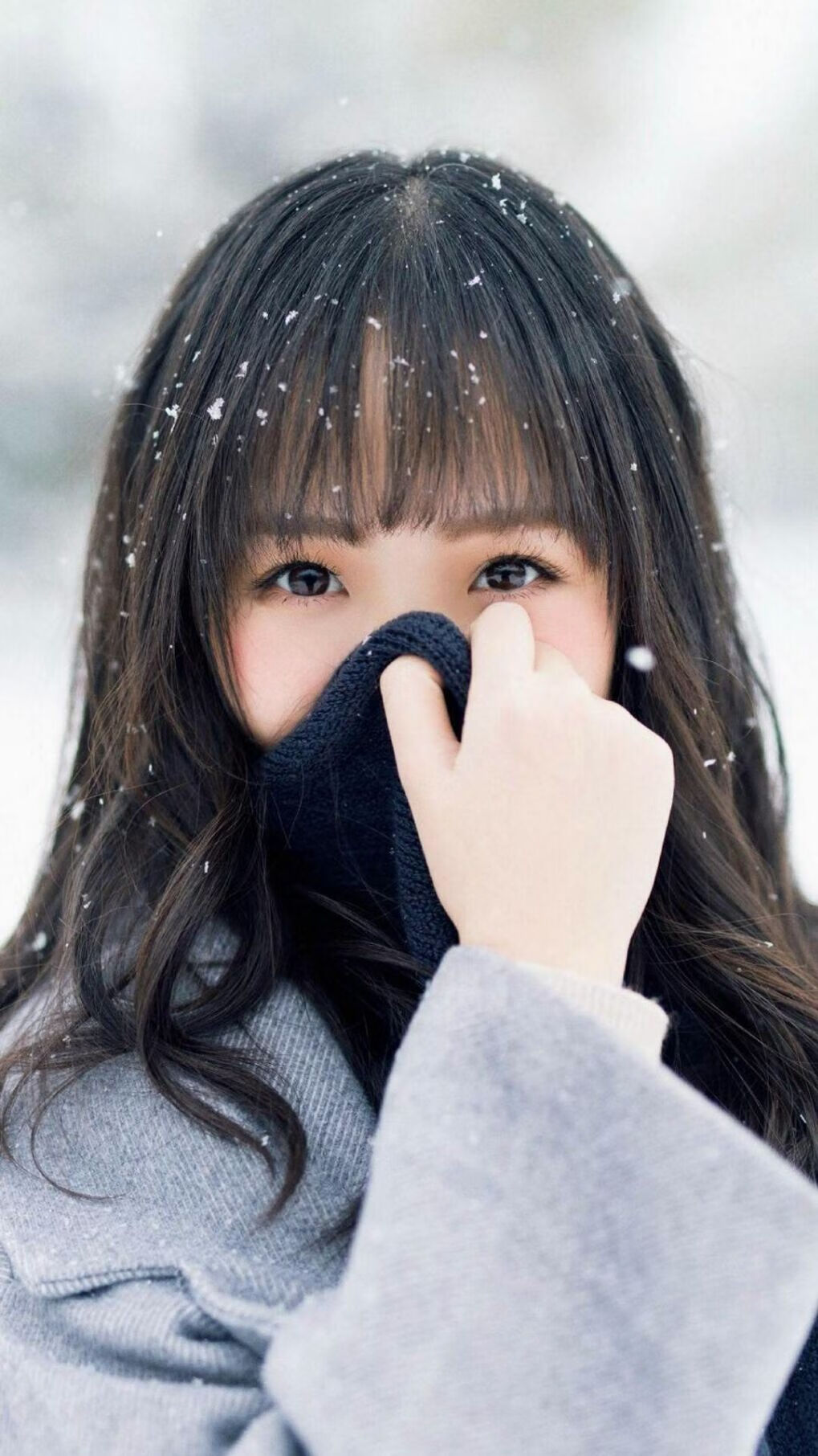 九游app下载中心-诺里奇城中场组织力强，黄蜂军团欲冲超，诺里奇在英国哪里