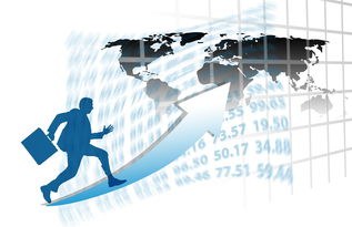 九游娱乐官网 (jiuyou)-中国篮球职业联赛赛事运营管理优化研究，中国篮球竞赛体系