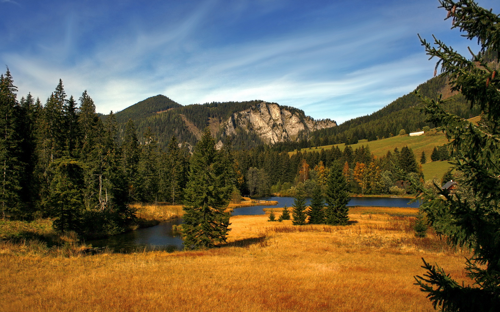 体育课程数字资源开发与利用研究，体育数字化教学