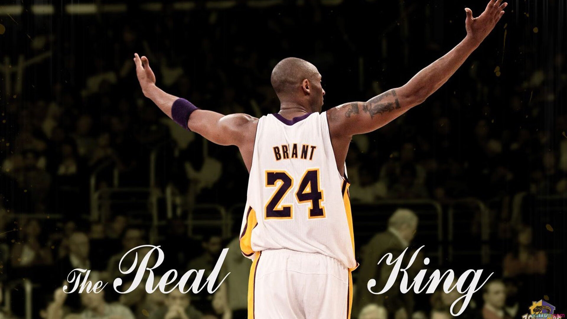 九游游戏中心官网-体育明星创业项目频现科技元素，体育明星商业化