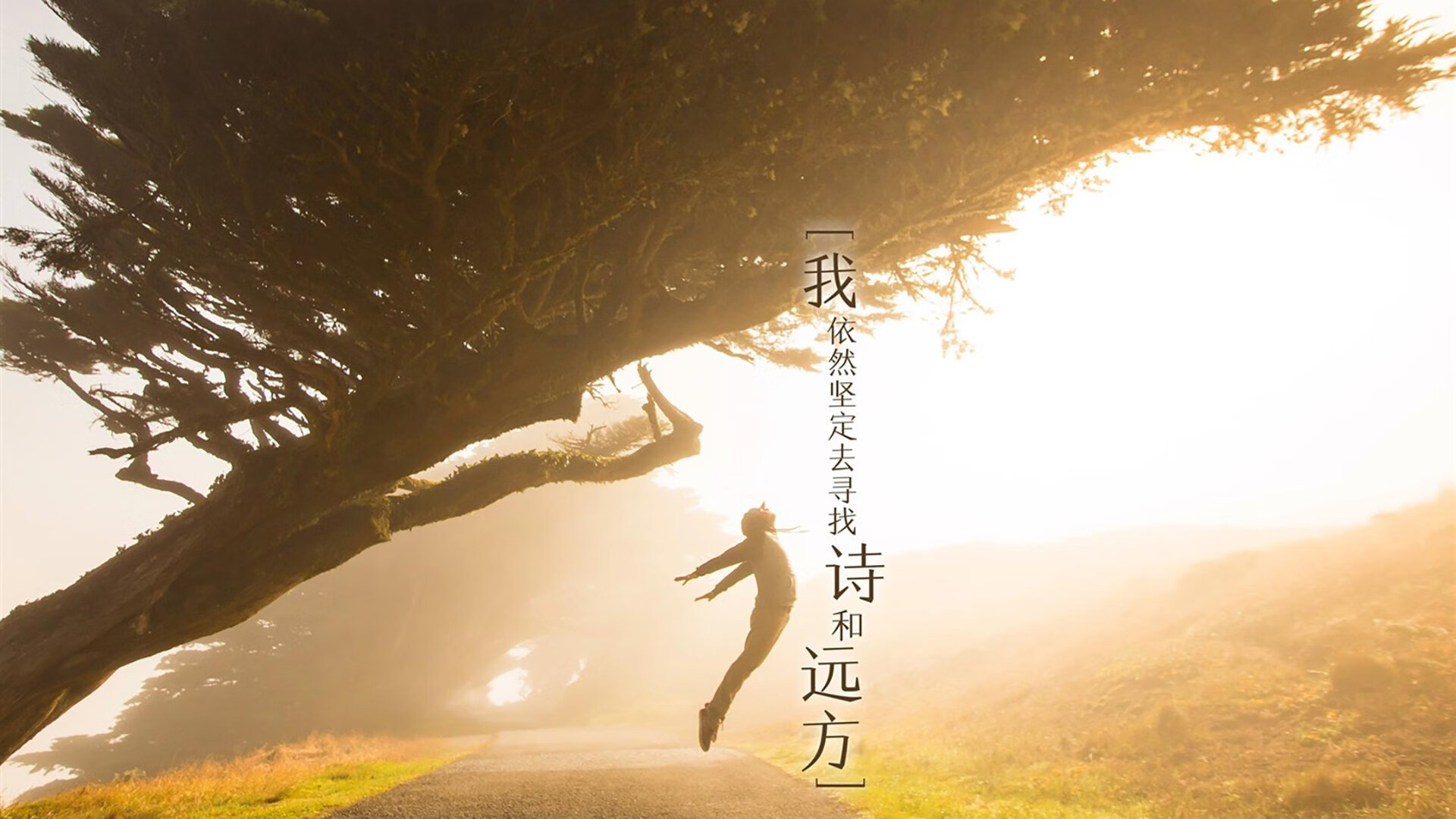 勒沃库森持球推进顺畅形成压制局面，勒沃库森的球星