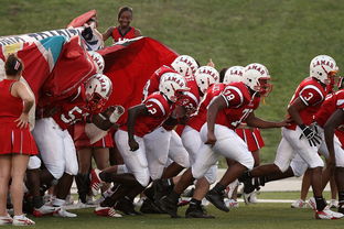 九游官网pc-国家队技战术水平提升瓶颈，国家技巧队