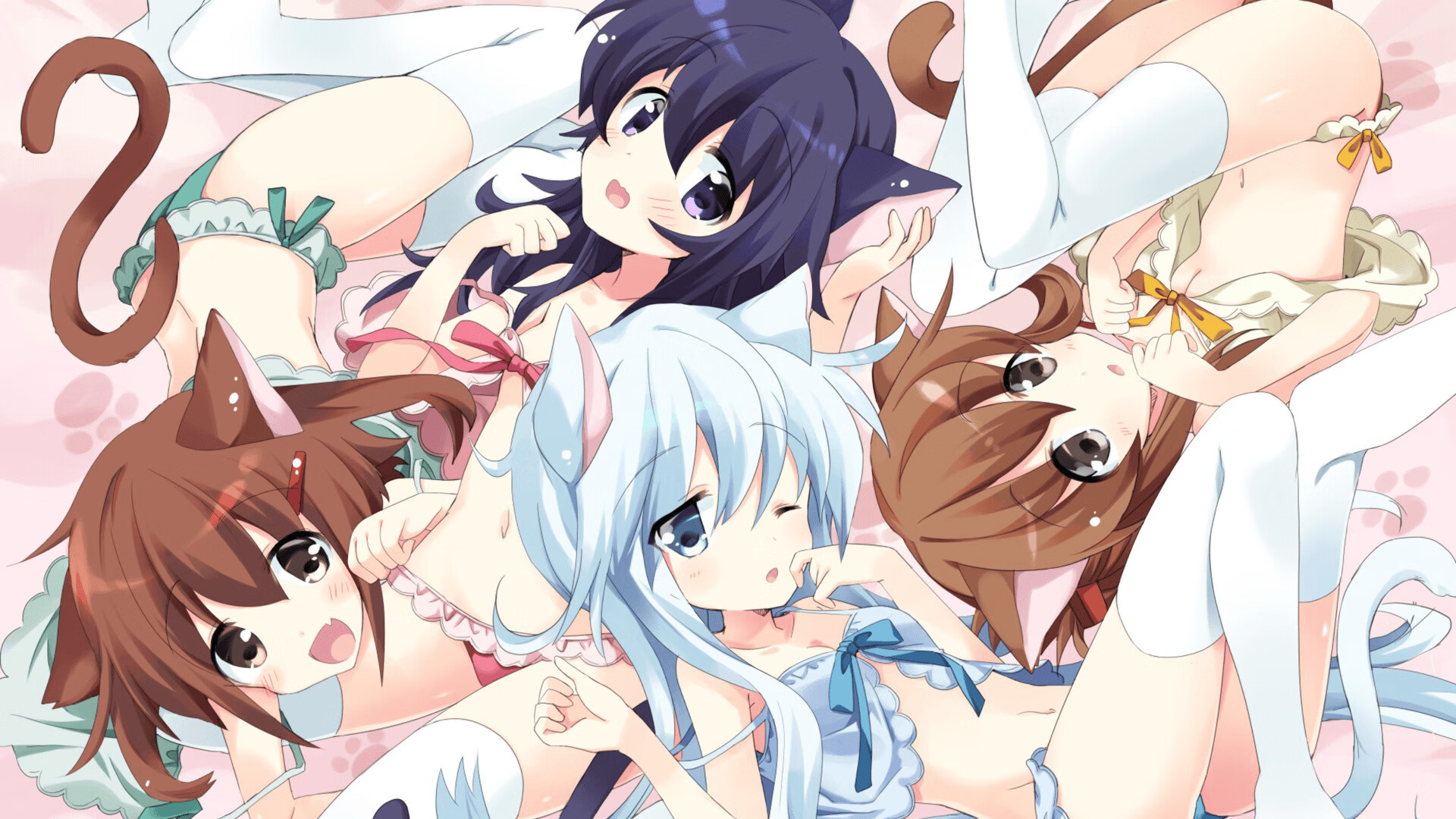 南非蝶泳新星震撼登场，南非游泳