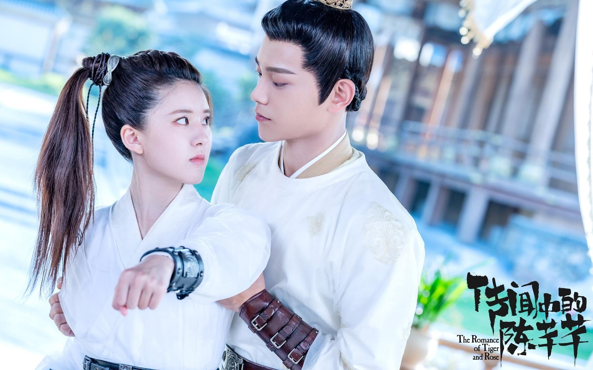 美洲杯狂热战场：明星盛放，精彩由你！，美洲杯现场观众