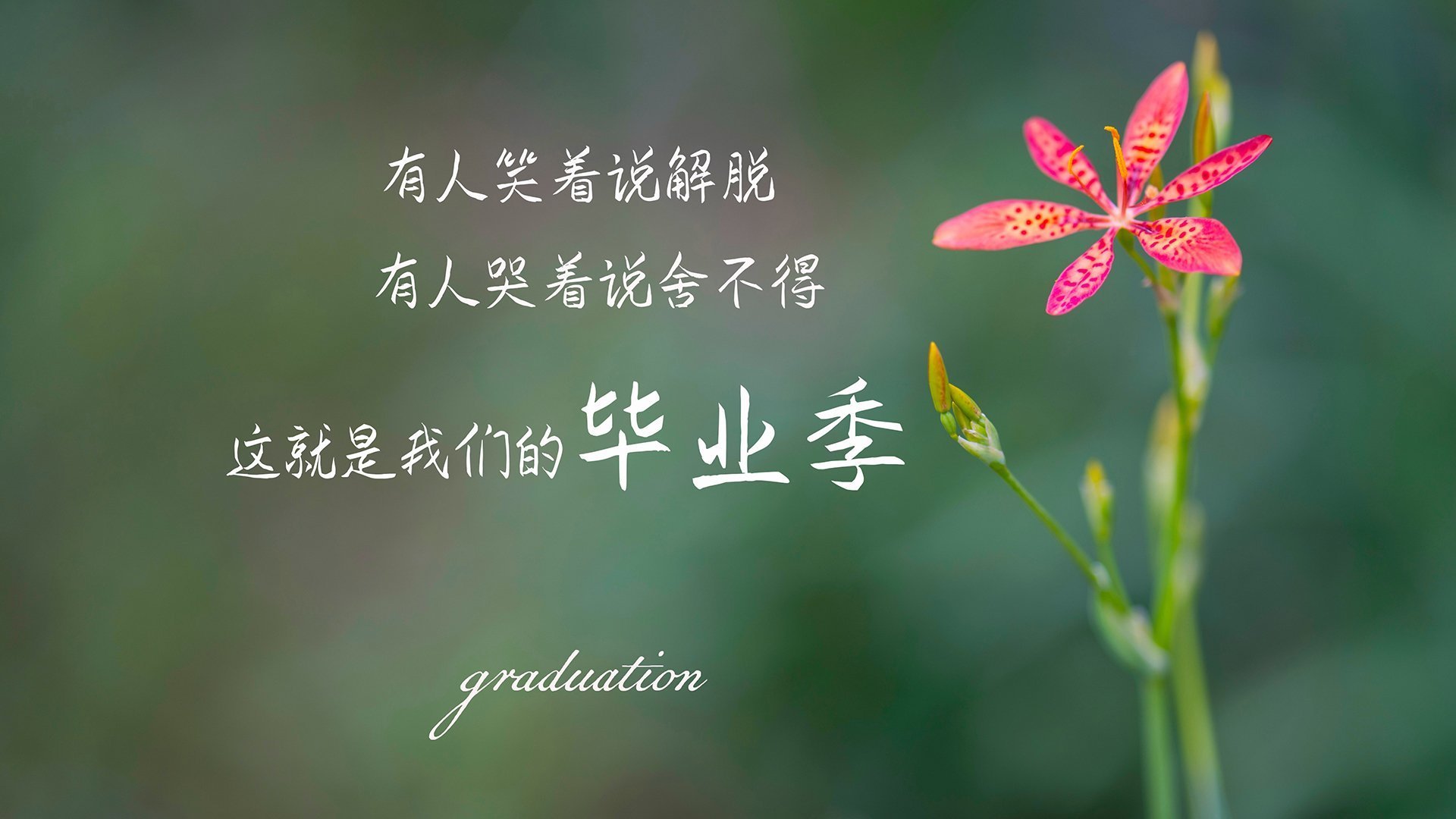 九游网游官网-西甲激情对抗：明星战士逐梦绿茵场！，西甲足球视频